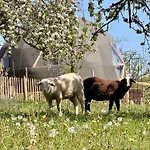 L'etoile Du Bearn אוהל מפואר