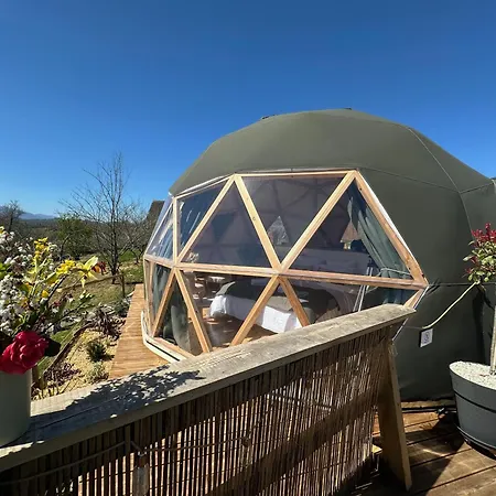 L'etoile Du Bearn * Asson